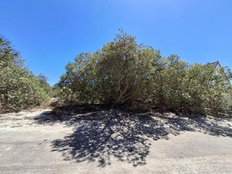 0 Bedroom Property for Sale in Britannia Bay Western Cape